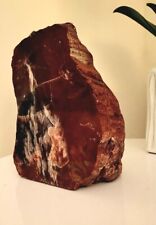 Display Piece - Polished Petrified Wood picture