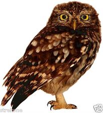 American Brown OWL perched Wildlife Tree Bird - Window Cling Decal Sticker - NEW picture