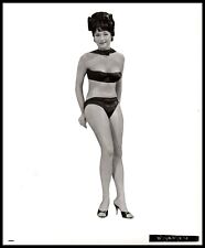 Hollywood Beauty SHIRLEY MACLAINE CHEESECAKE PORTRAIT 1950 SWIMSUIT Photo 741 picture