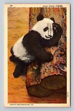 Chicago IL-Illinois, Giant Panda, Antique, Vintage c1939 Postcard picture