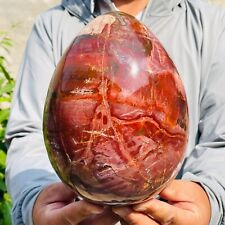 12.01lb Large Natural Petrified Wood Crystal Fossil Egg Specimen Healing picture