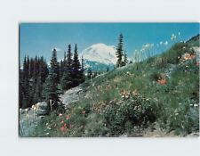 Postcard Mt. Rainier from Dewey Lake Trail Washington USA picture