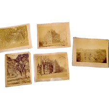 1880s Yale Campus New Haven Antique Original Photo Lot  Pach Brothers Vintage picture