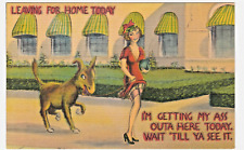 Getting My Ass Outa Here Vintage Linen Visual Pun Postcard by Asheville PC Co. picture