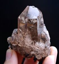 102.5g Natural Clear Gold Rutilated Skeletal Quartz Crystal Mineral  Specimens picture
