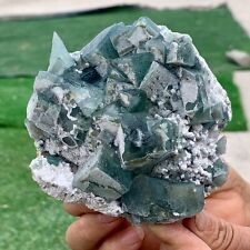 1.35LB Rare transparent green cubic fluorite mineral crystal sample picture