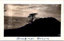 RPPC Brookings OR Tree On Cliff Sunset A/S AV AZO 1924-1949 photo postcard NP2 picture