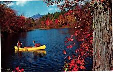 Postcard Beautiful Lake Chocorua New Hampshire Autumn Scene picture
