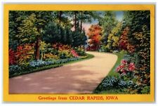 c1940s Greetings From Cedar Rapids Iowa IA Unposted Country Road Trees Postcard picture