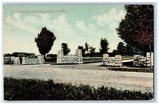 Charlotte Michigan Postcard Entrance Cemetery Trees 1910 Vintage Antique Posted picture