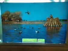Vtg 1950’s Budweiser Beer Lighted Sign CELLULOID Insert Duck Hunting picture