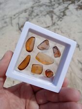 7 pieces Myanmar Burma Burmite Amber with insects Fossil Amber In Display K5 picture