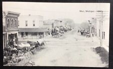 Muir Michigan 1890s Street Scene Postcard picture