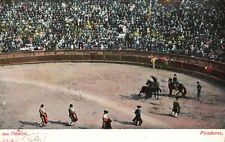Vintage Postcard 1908 Picadores Traditional Bull Fight Mexico picture