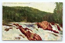 Kootenay River Falls Nelson British Columbia BC Canada 1907 DB Postcard M8 picture