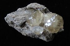 Calcite Crystal Cluster-  Berry Quarry, North Vernon, Indiana picture