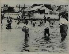 1966 Press Photo Saigon Children romp in flooded streets of ChauDoc unaware of picture