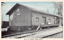 Riga Township MI Michigan Train Railroad Depot Station Railway Vtg Postcard B39 picture
