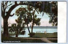 Pre-1907 ORMOND FLORIDA FL HALIFAX RIVER LEIGHTON ANTIQUE POSTCARD picture