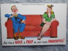 Are You A Wolf, Creep Or Just Plain Handcuffed, New Freedom, PA Postcard picture