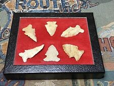 Lot of 6 Side Notch Beveled Bolen Arrowheads Authentic East Georgia with Case picture