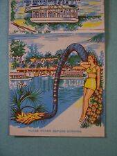 GIANT FEATURE MATCH BOOK-  SILVER SPRINGS FAIRYLAND, FLORIDA picture