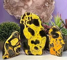 Wholesale Lot 3 PCs Natural Bumblebee Jasper 2.8-3 Lbs  Crystal Healing Energy picture