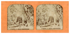 Bear and the Two Companions, ca.1860, Day/Night Stereo (French Tissue) Ti picture