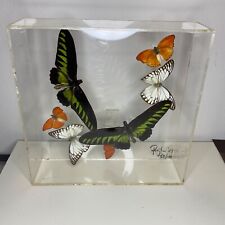 Vintage Paul Purington 1987 Signed 7 Mounted Butterflies in Lucid Box 88/100 4a picture