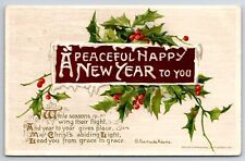 John Winsch c1911 Embossed A Peaceful Happy New Year To You Vintage Postcard picture