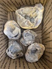 5 Large Dugway Geodes, Cracked Open ( Utah ) 9.3 Lbs . picture