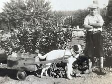 J3 Photograph Boy 1932 Dog Pulling Wood Homemade Wagon Artistic  picture