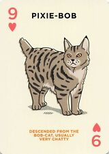 Pixie Bob Cat Single Swap Wide Playing Card Unused 9 Hearts picture