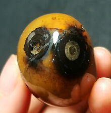 Rare 23G Natural Inner Mongolia Gobi Agate Eyes Agate  Geode Collection R27 picture