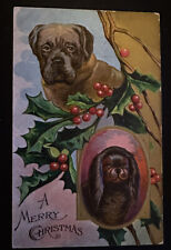 Cute Puppy Dogs with ~ Holly~Antique~Embossed Merry Christmas Postcard~h942 picture