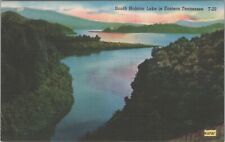 MR ALE ~ South Holston Lake, Eastern Tennessee TN c1930s Postcard 7102.4 picture