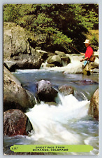 Fly Fishing, Greetings From Durango Colorado Vintage Postcard picture