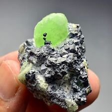 266 Cts beautiful Terminated Peridot Crystal bunch specimen from Skardu Pakistan picture