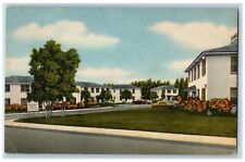 c1940's Halifax Apartments Buildings & Landscape Daytona Beach Florida Postcard picture