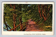 West Buxton ME- Maine, Scenic General Greetings Path, Vintage c1934 Postcard picture