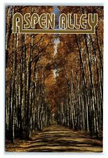 Postcard Aspen Alley, Wyoming WY K70 picture