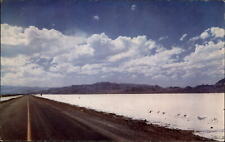 Bonneville Salt Flats Utah desert World's Fastest Speedway vintage postcard picture