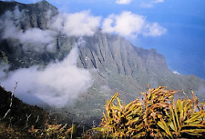 Hawaii Island, Mountain Landscape, Original Vintage Picture Film Slide, 1992 picture