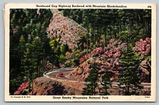 Vintage Postcard Newfound Gap Highway Bordered Mountain Rhododendron Great Smoky picture