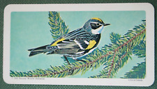 YELLOW-RUMPED WARBLER   Vintage 1960's Illustrated Bird Card  DD24 picture