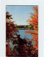 Postcard A Northwoods View In Natural Color Northwoods picture