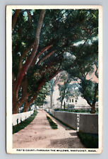Ray's Court Through the Willows Nantucket MA Cape Cod White Border Postcard picture