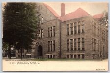 High School c1905 Elyria Ohio OH Hand Colored Vintage Rotograph Postcard picture