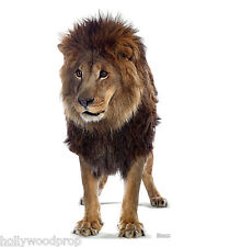 AFRICAN LION LIFESIZE CARDBOARD STANDUP STANDEE CUTOUT POSTER FIGURE DISPLAY picture