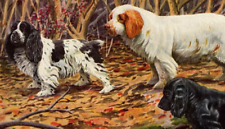 Cocker, Clumber, Field Spaniels Original Book Plate Art Nat Geographic c. 1940's picture